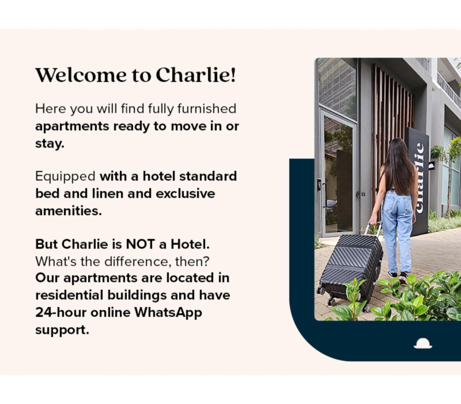 Charlie Girassol Vila Madalena São Paulo Ngoại thất bức ảnh